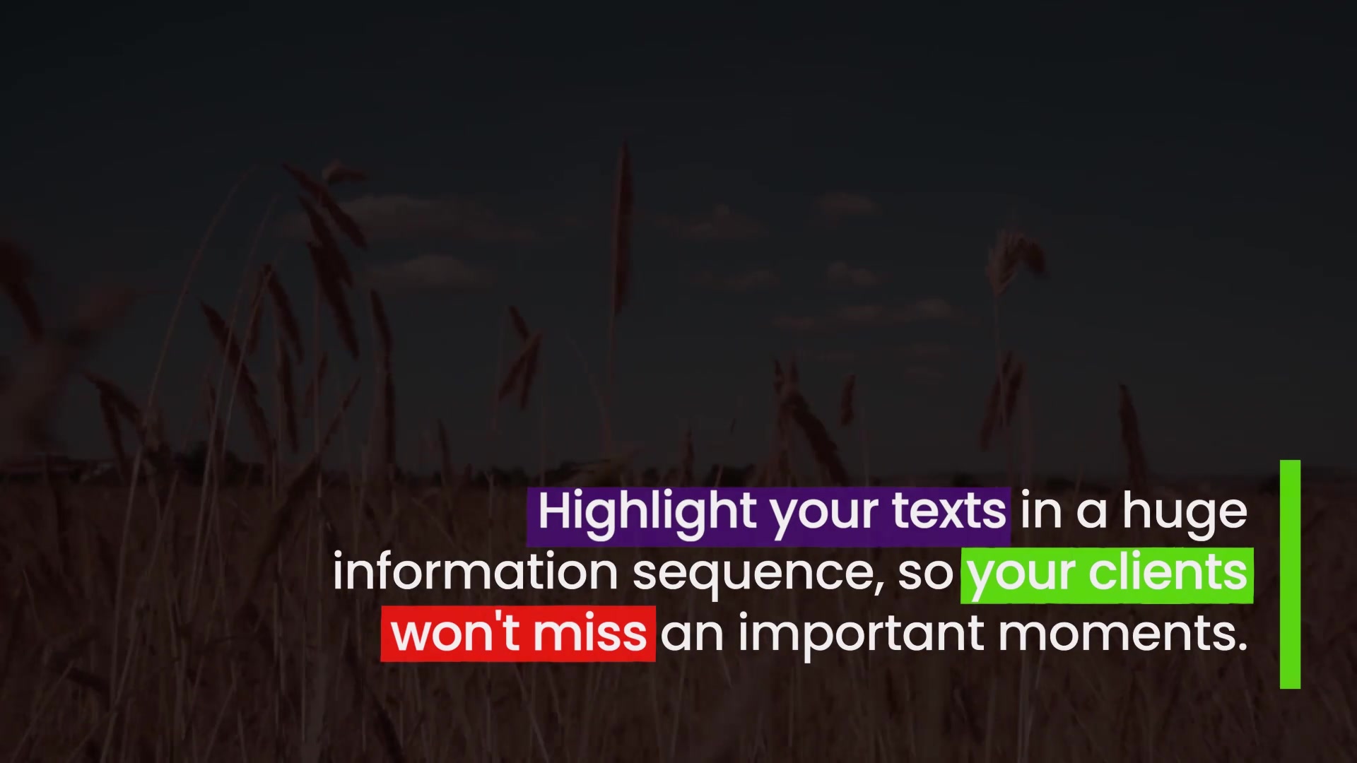 Highlight Texts Explainer Videohive 37578065 Apple Motion Image 6