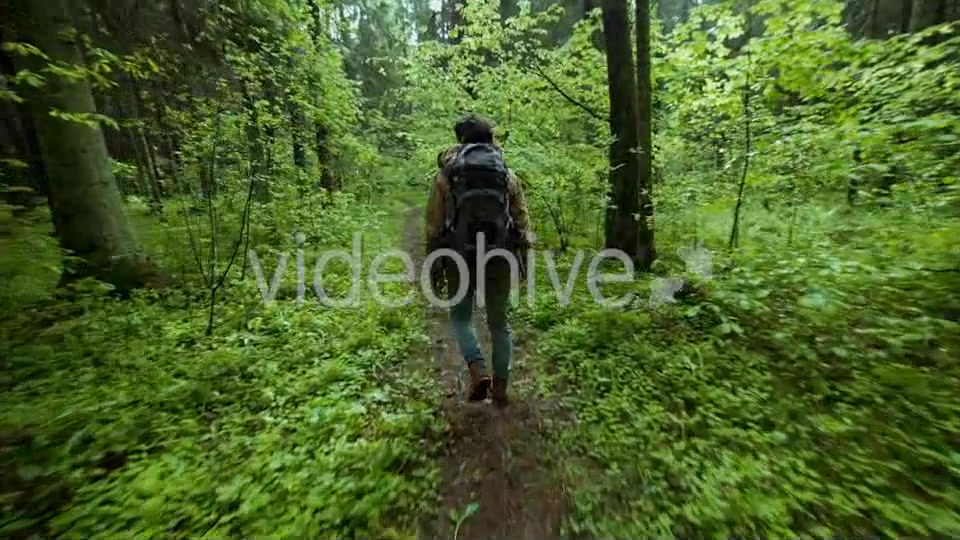 Hiking In The Beautiful Green Summer Forest  Videohive 11716650 Stock Footage Image 4