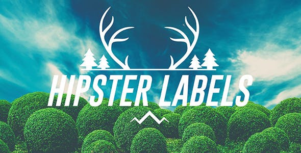 Hipster Labels - Download Videohive 10739191