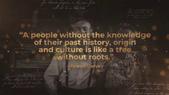 History Quotes - Download Videohive 23445138