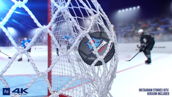 Hockey Logo Championship Big Pack - Videohive Download 23726059