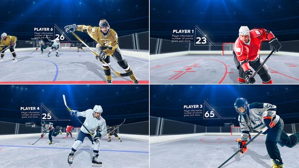 Hockey Player - Videohive Download 25639258