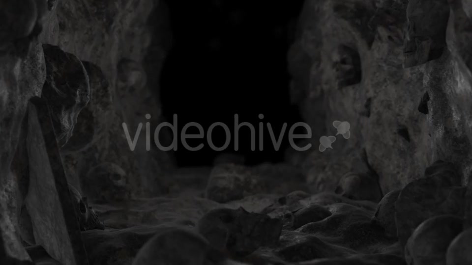 Hole Skull - Download Videohive 18302470