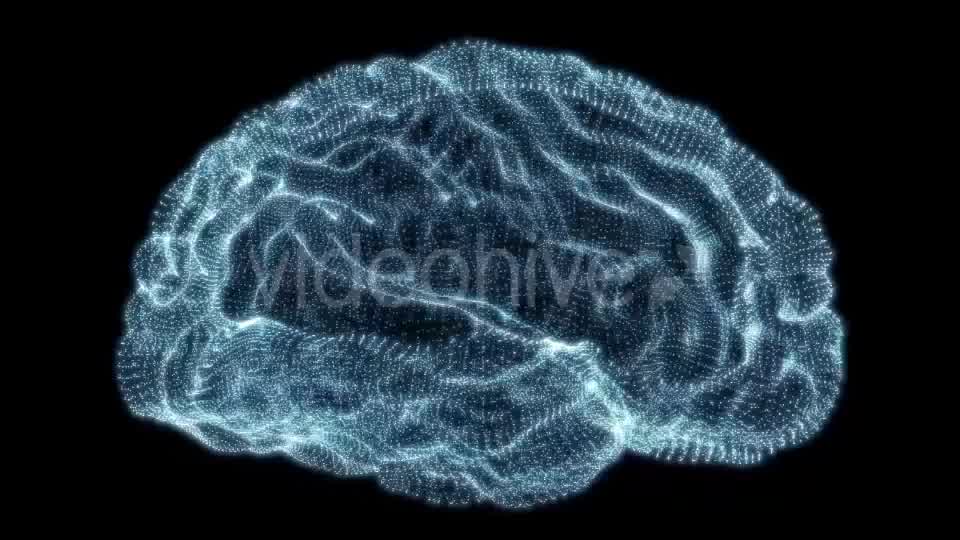 Holographic Particle Brain - Download Videohive 15260952