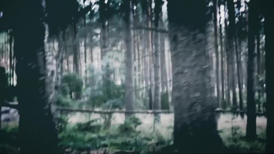 Horror Forest Videohive 20730449 After Effects Image 1