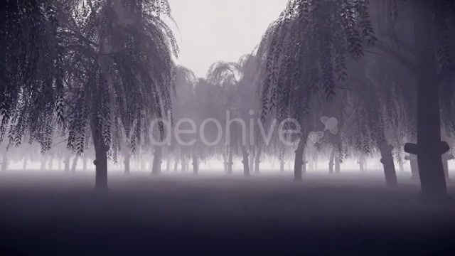 Horror Forest - Download Videohive 16247501