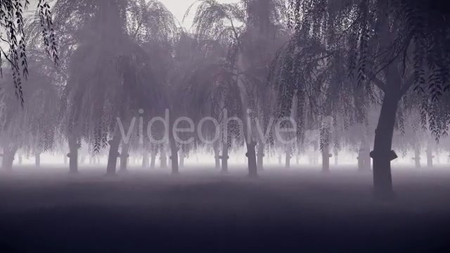 Horror Forest - Download Videohive 16247501
