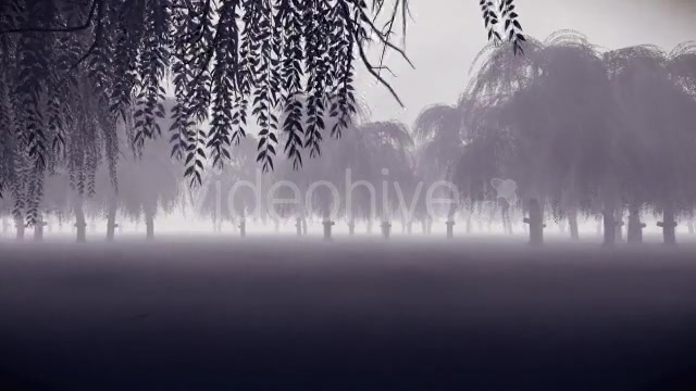 Horror Forest - Download Videohive 16247501