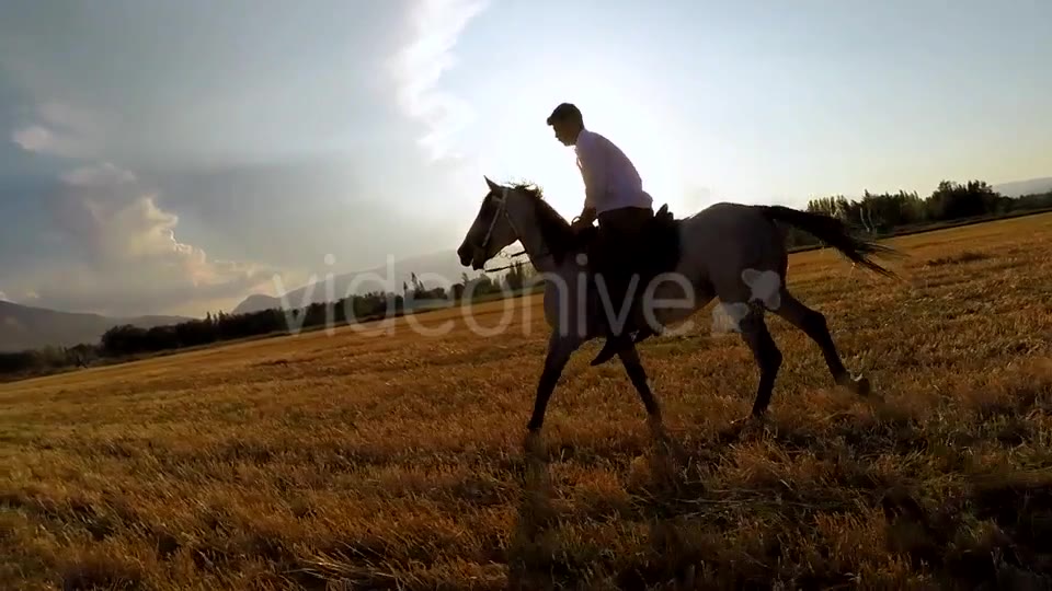 Horse  Videohive 9705527 Stock Footage Image 2