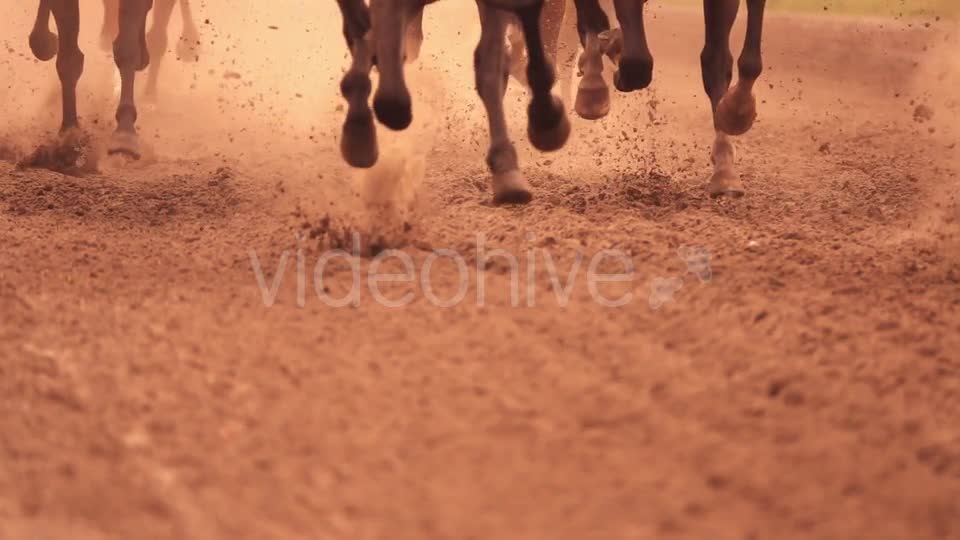 Horse Racing Feet - Download Videohive 18098061