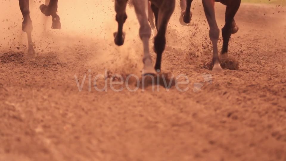 Horse Racing Feet - Download Videohive 18098061