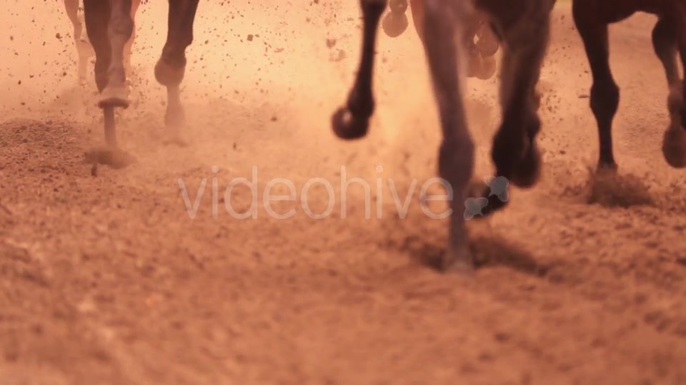 Horse Racing Feet - Download Videohive 18098061