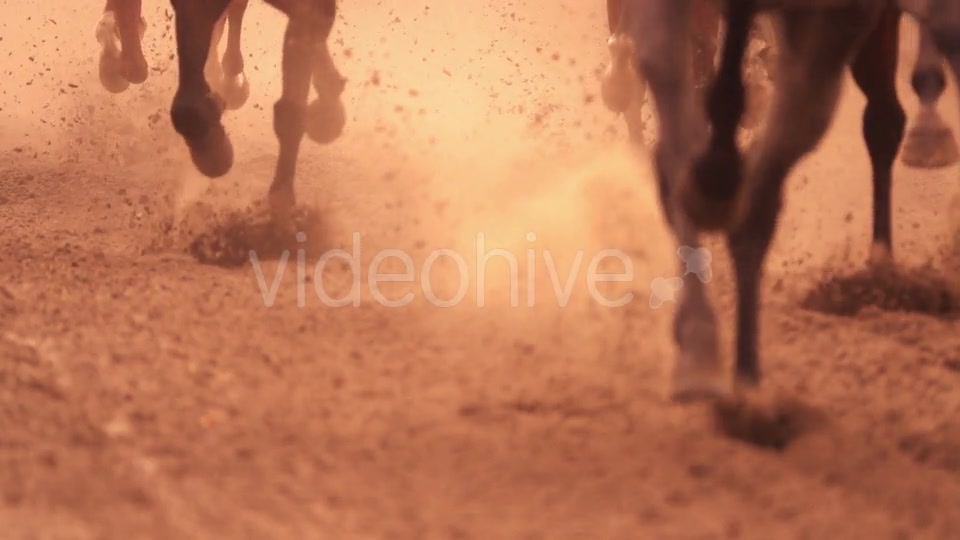 Horse Racing Feet - Download Videohive 18098061