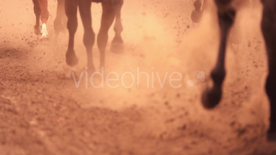 Horse Racing Feet - Download Videohive 18098061