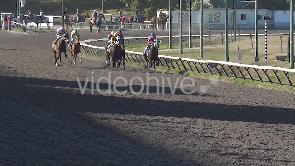 Horse Racing  Videohive 8983912 Stock Footage Image 1