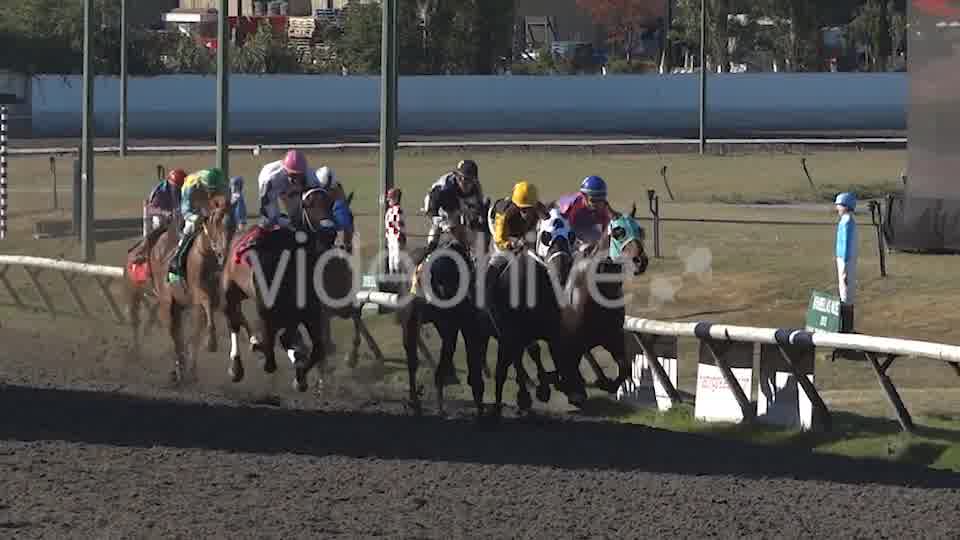 Horse Racing  Videohive 8983912 Stock Footage Image 10