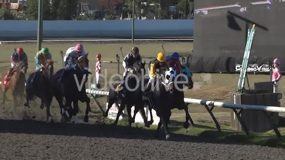 Horse Racing  Videohive 8983912 Stock Footage Image 11