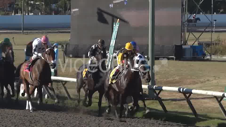 Horse Racing  Videohive 8983912 Stock Footage Image 12