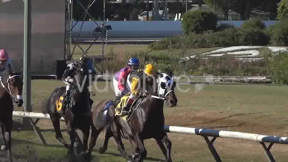 Horse Racing  Videohive 8983912 Stock Footage Image 13