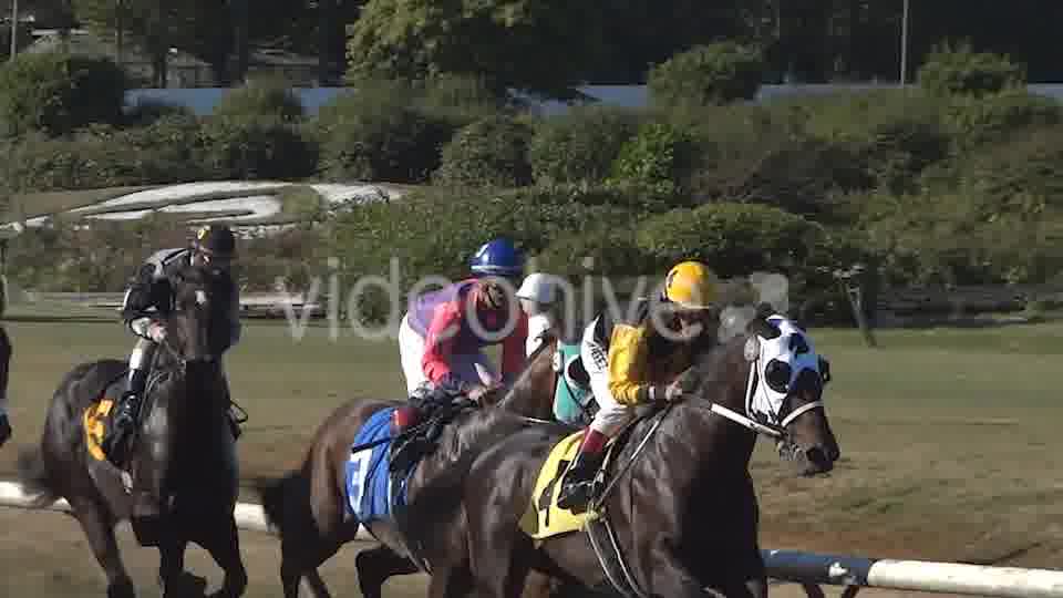 Horse Racing  Videohive 8983912 Stock Footage Image 14