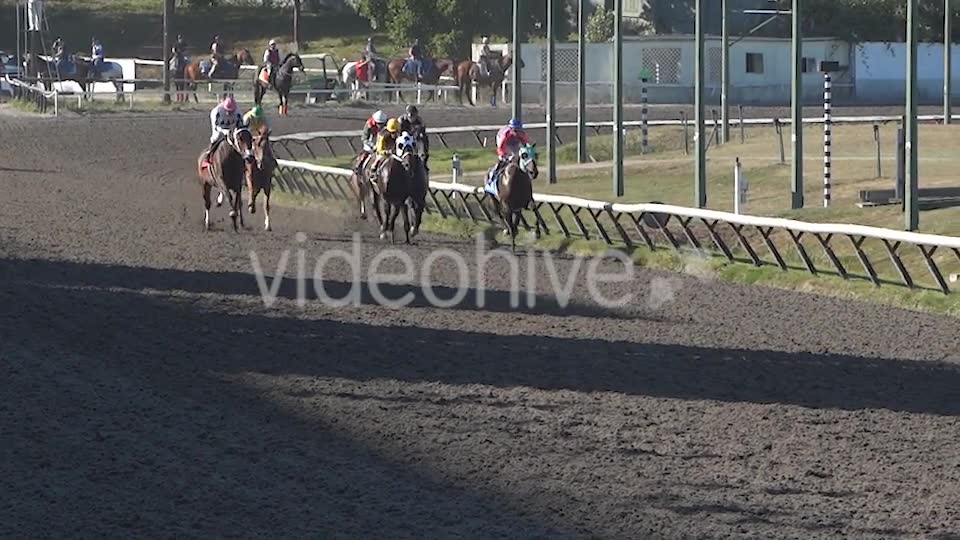 Horse Racing  Videohive 8983912 Stock Footage Image 2