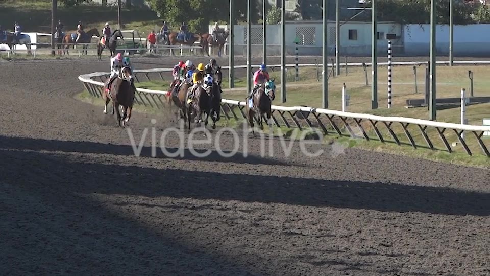 Horse Racing  Videohive 8983912 Stock Footage Image 3