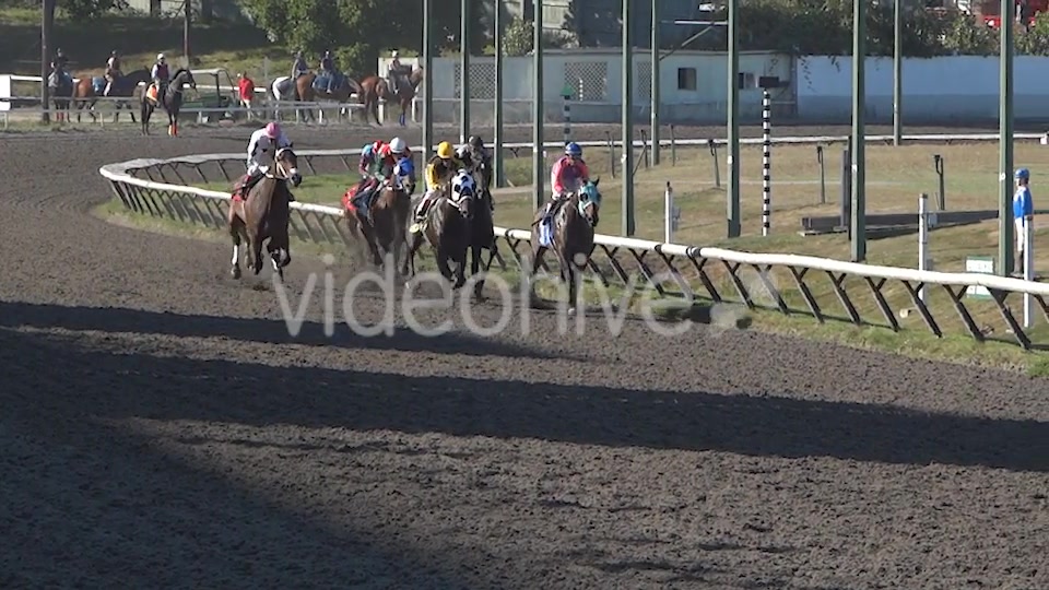 Horse Racing  Videohive 8983912 Stock Footage Image 4