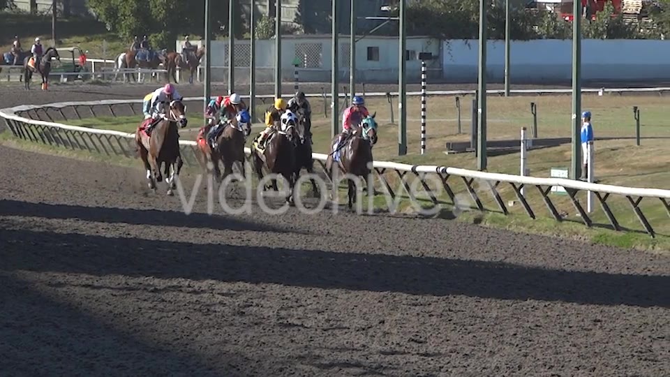 Horse Racing  Videohive 8983912 Stock Footage Image 5