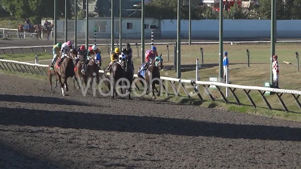 Horse Racing  Videohive 8983912 Stock Footage Image 6