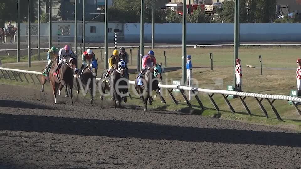 Horse Racing  Videohive 8983912 Stock Footage Image 7