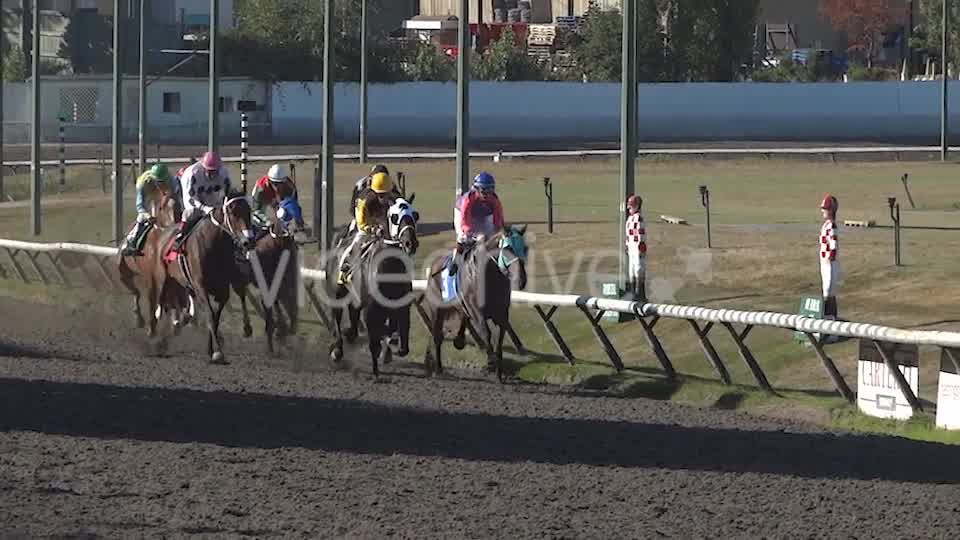 Horse Racing  Videohive 8983912 Stock Footage Image 8