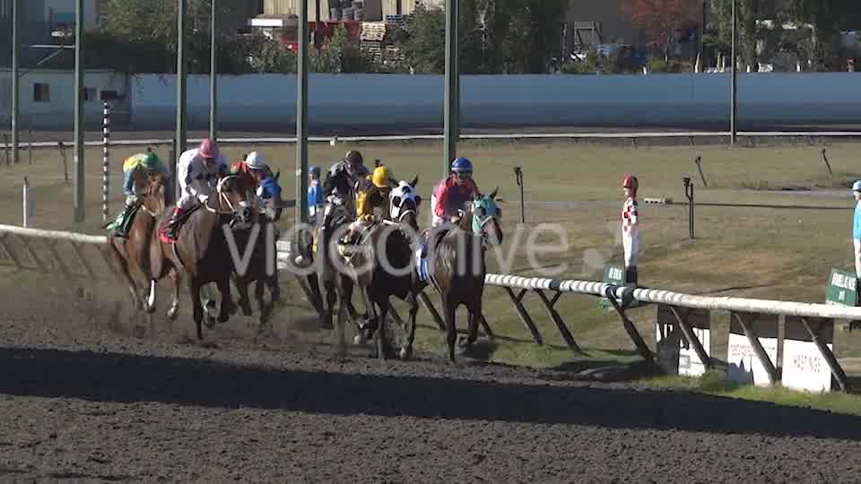 Horse Racing  Videohive 8983912 Stock Footage Image 9