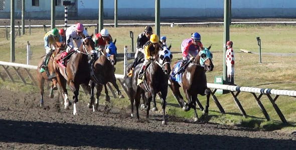 Horse Racing  - Videohive Download 8983912