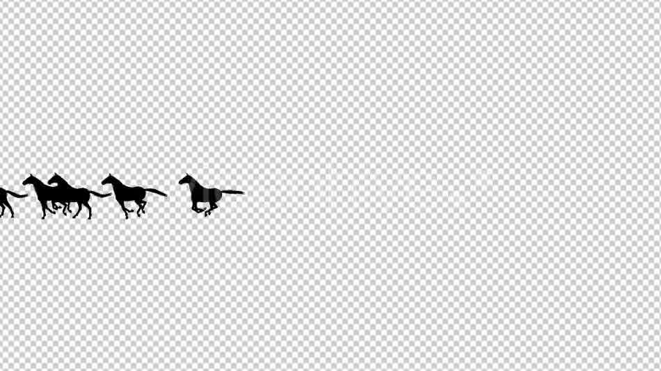 Horses Silhouette Animation - Download Videohive 20510076