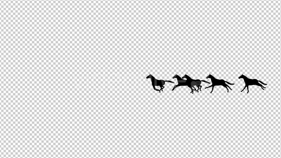 Horses Silhouette Animation - Download Videohive 20510076