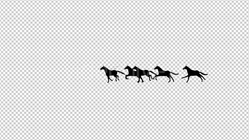 Horses Silhouette Animation - Download Videohive 20510076
