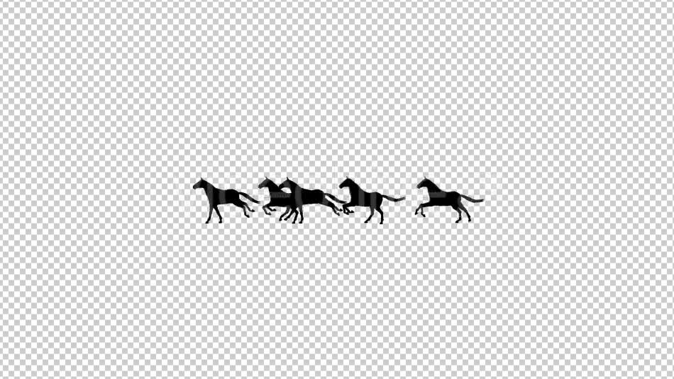 Horses Silhouette Animation - Download Videohive 20510076