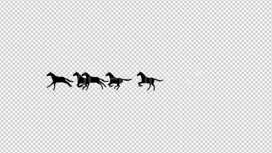 Horses Silhouette Animation - Download Videohive 20510076
