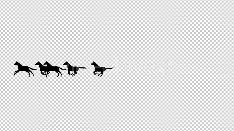 Horses Silhouette Animation - Download Videohive 20510076