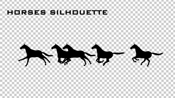 Horses Silhouette Animation - Download Videohive 20510076