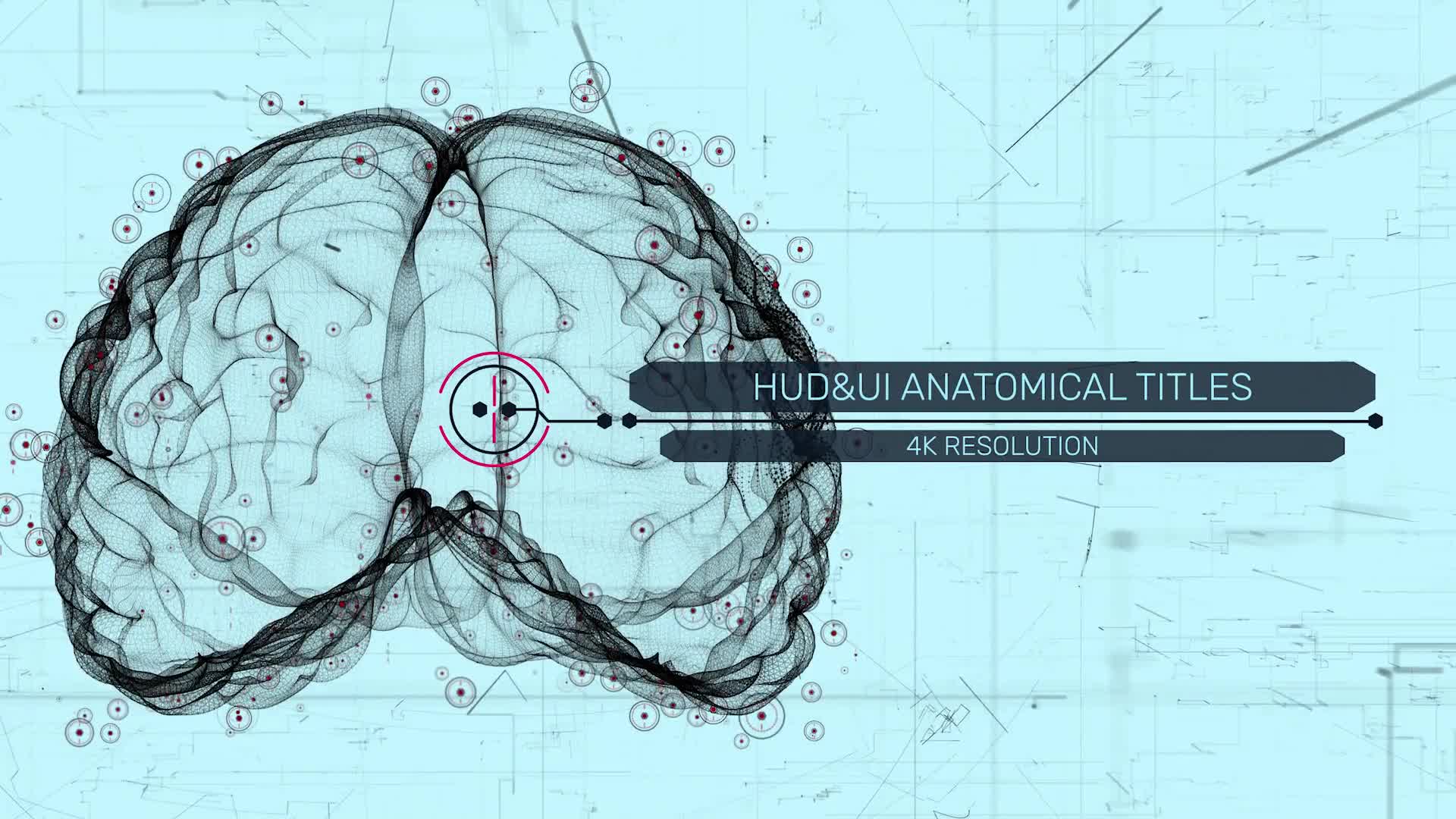 HUD UI Anatomical Titles Videohive 33042984 After Effects Image 1