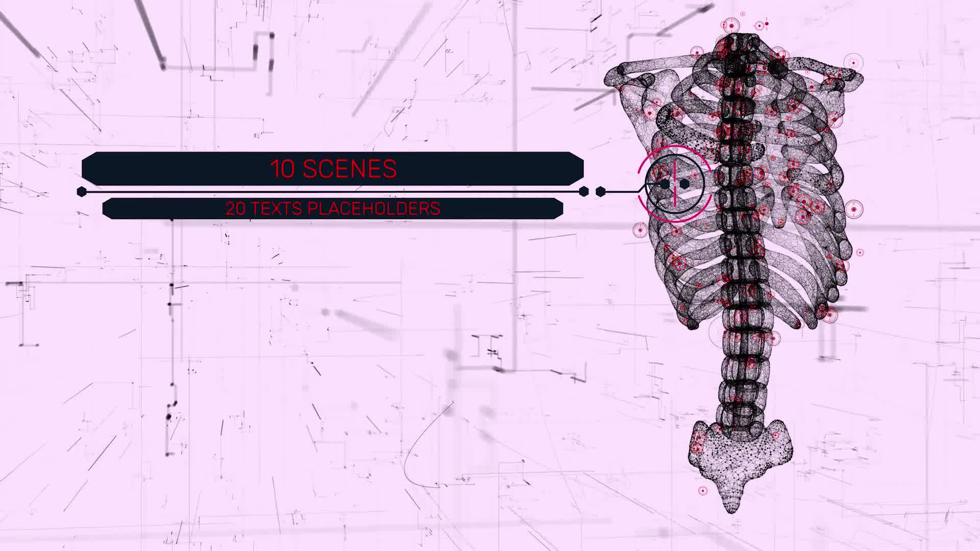 HUD UI Anatomical Titles Videohive 33042984 After Effects Image 10