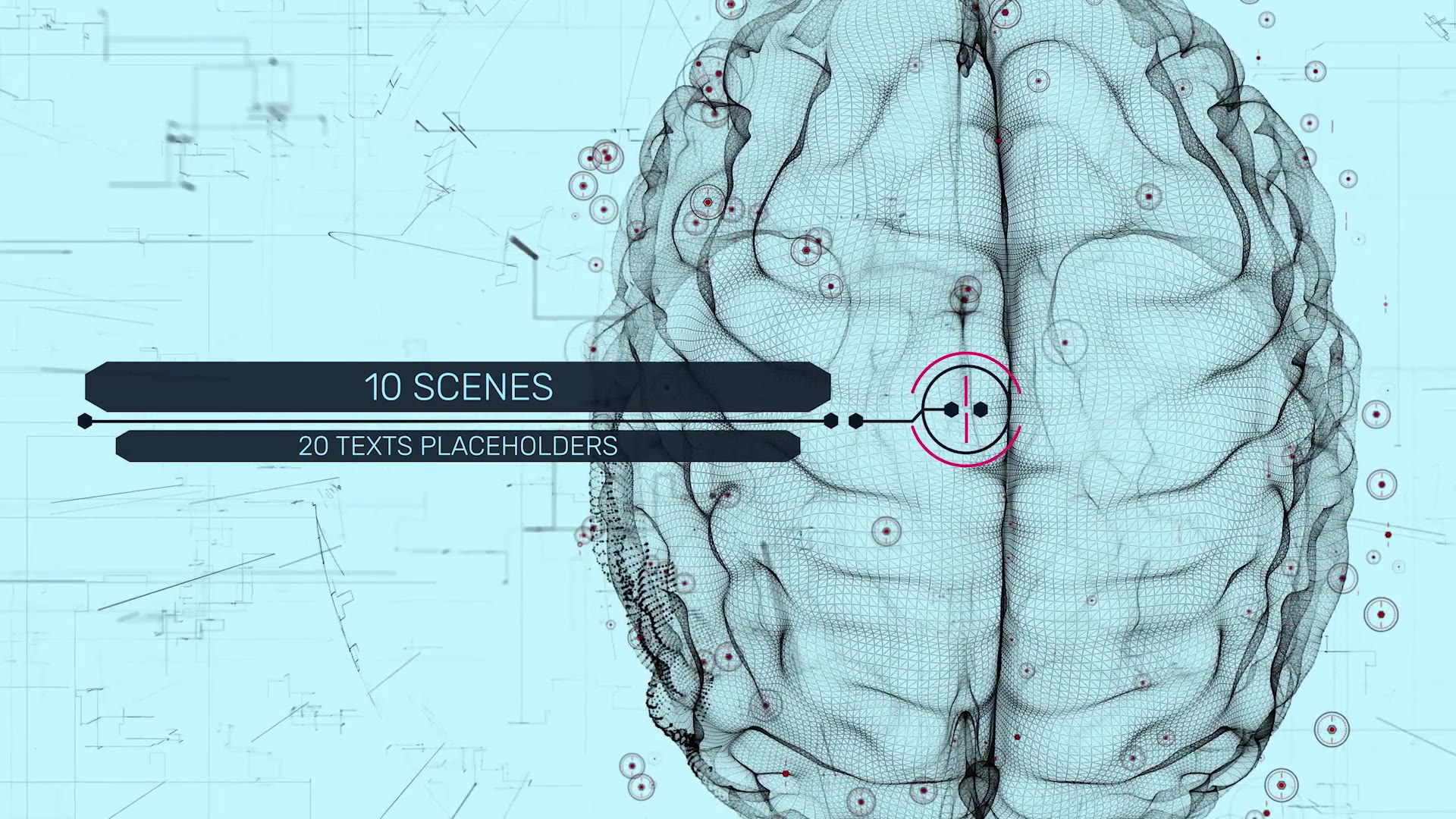 HUD UI Anatomical Titles Videohive 33042984 After Effects Image 4