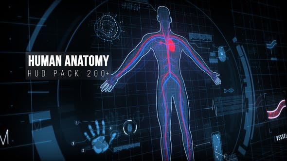 Human Anatomy HUD Pack 200+ - Download 22128440 Videohive
