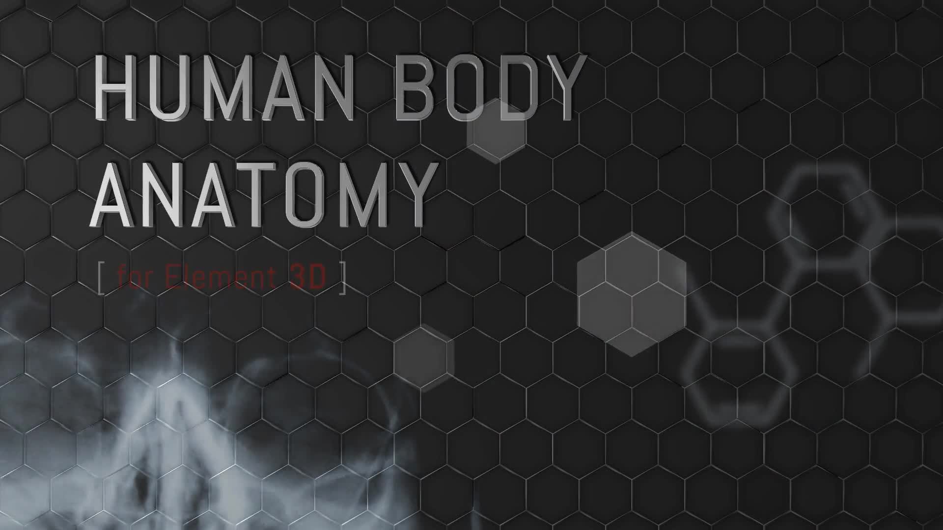 Human Body Anatomy - Download Videohive 18254375