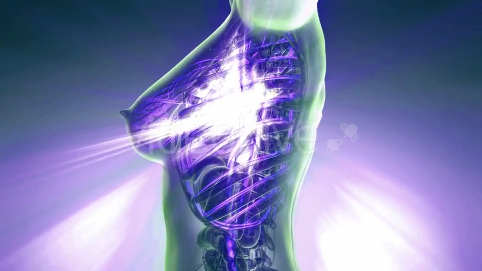 Human Body with Glow Blood Vessels - Download Videohive 20823960