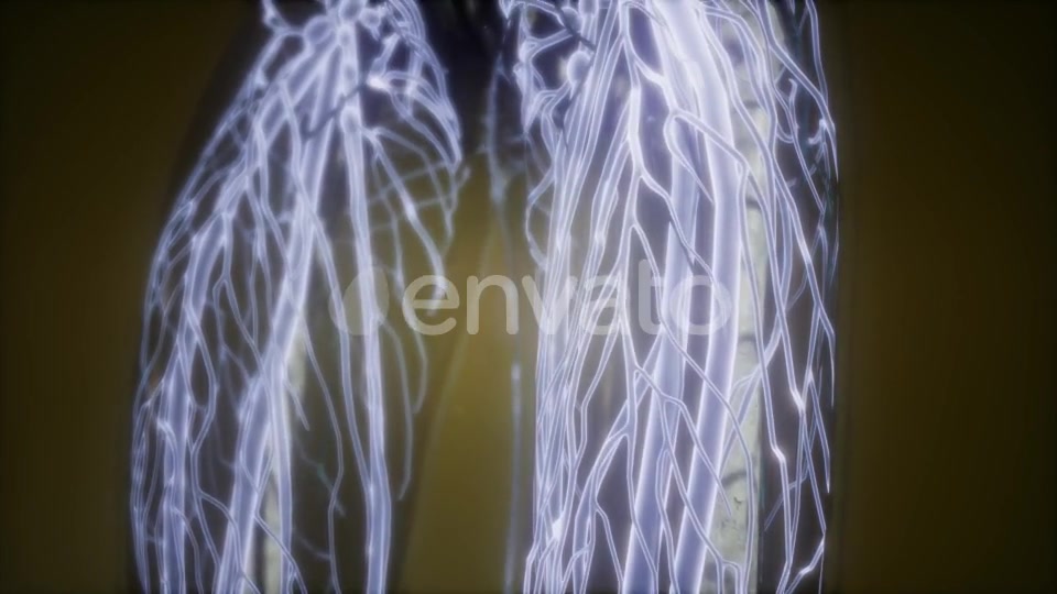 Human Body with Glow Blood Vessels - Download Videohive 21674524