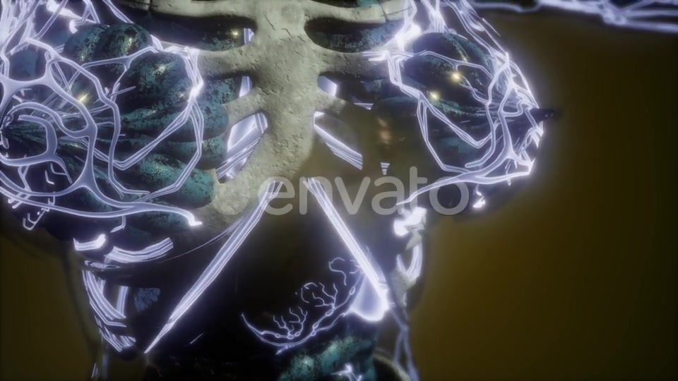 Human Body with Glow Blood Vessels - Download Videohive 21674524