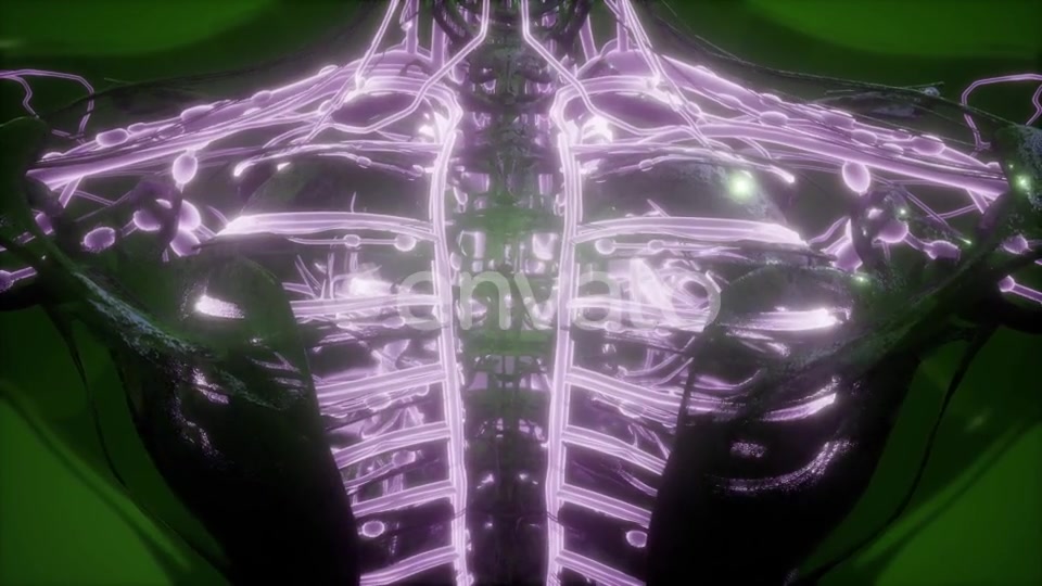 Human Body with Glow Blood Vessels - Download Videohive 21742738
