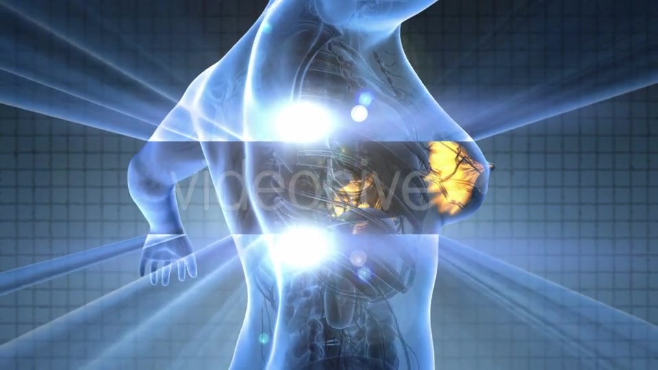 Human Body With Visible Glow Mammary Gland - Download Videohive 18017417